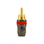 Picture of Planet Waves RCAP50